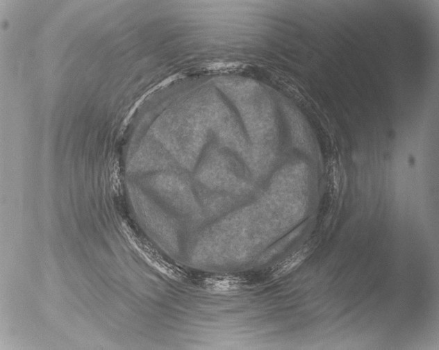 X0000051240564200507152126