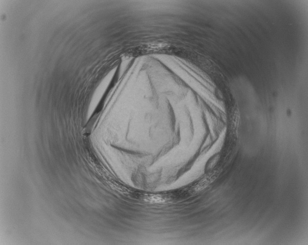 X0000051240565200507152126