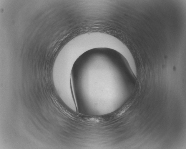 X0000051240566200507152126