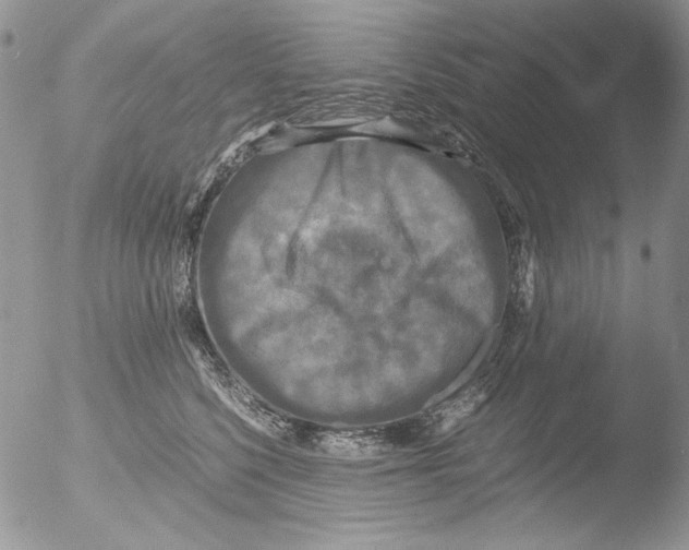 X0000051240568200507152126