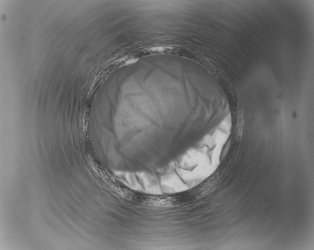 X0000051240569200507152126