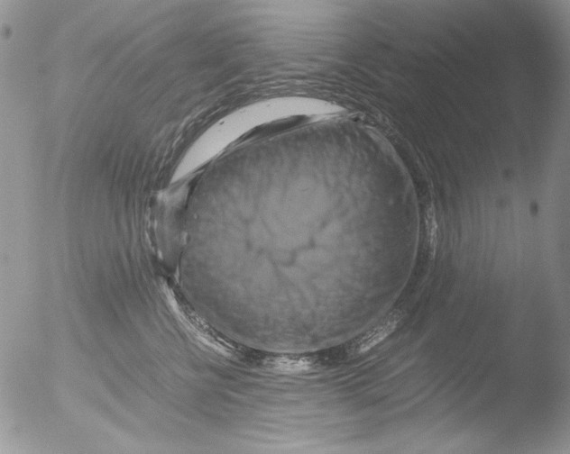 X0000051240570200507152126