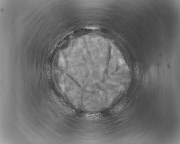 X0000051240571200507152126