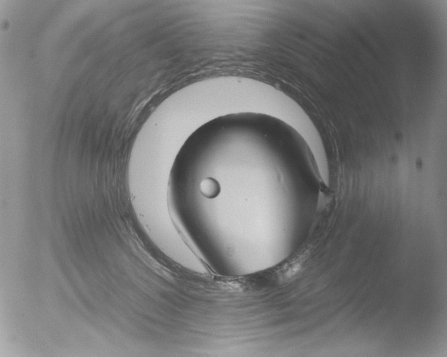 X0000051240572200507152127