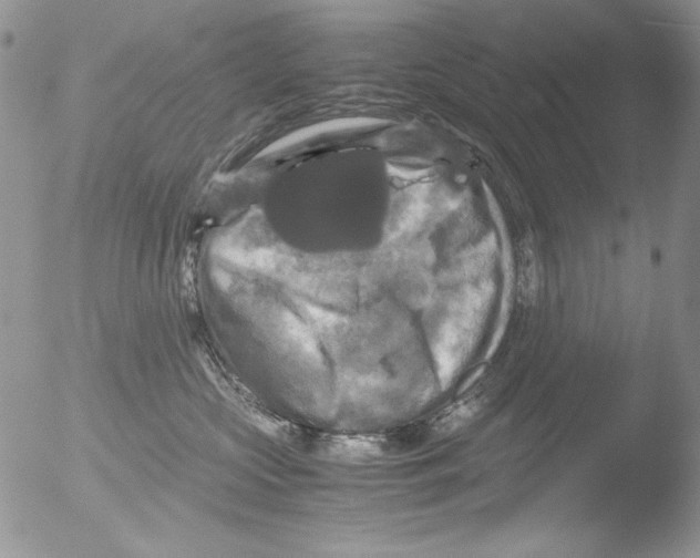 X0000051240573200507152127