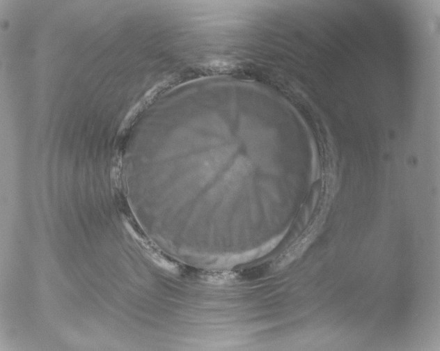 X0000051240576200507152127