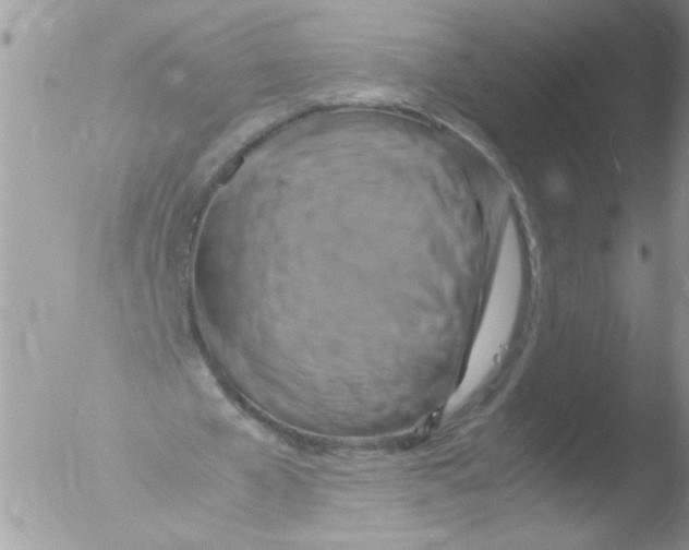 X0000051240577200507152126