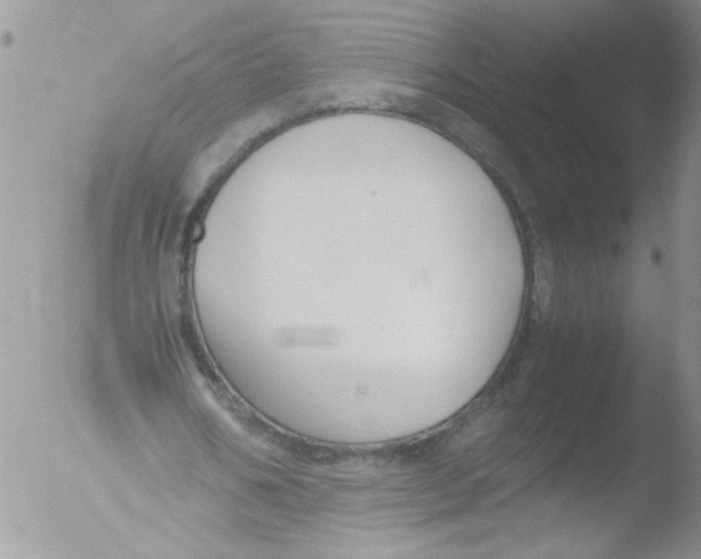 X0000051240578200507152126