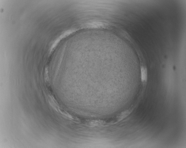 X0000051240579200507152126