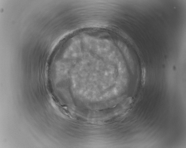 X0000051240580200507152126