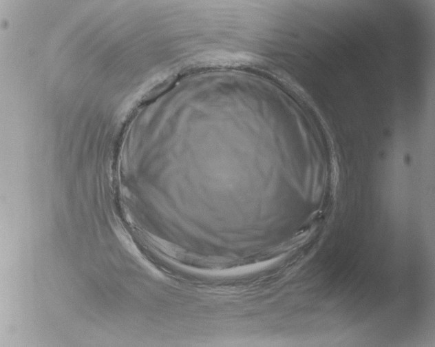 X0000051240581200507152126