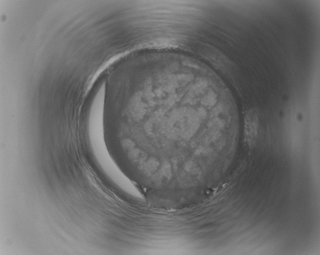 X0000051240584200507152126