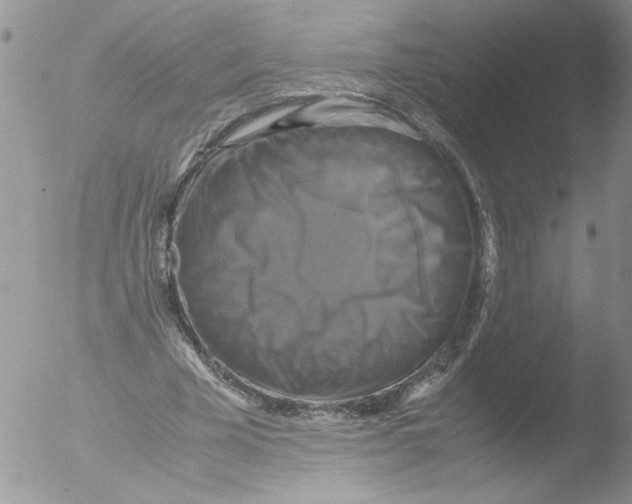 X0000051240585200507152126