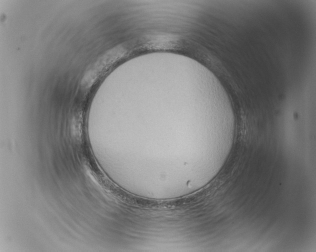 X0000051240586200507152126