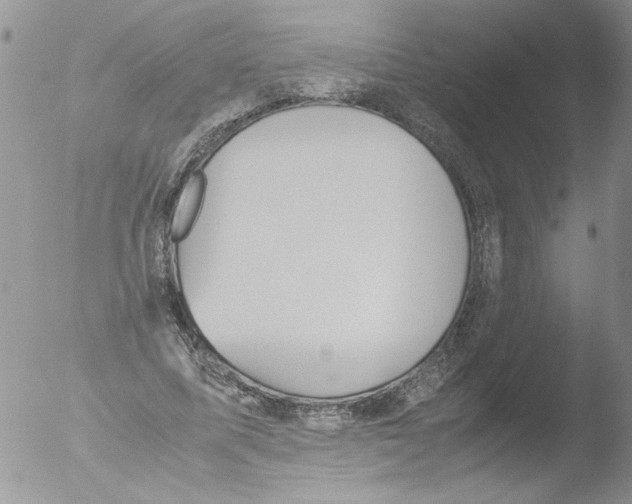 X0000051240587200507152126