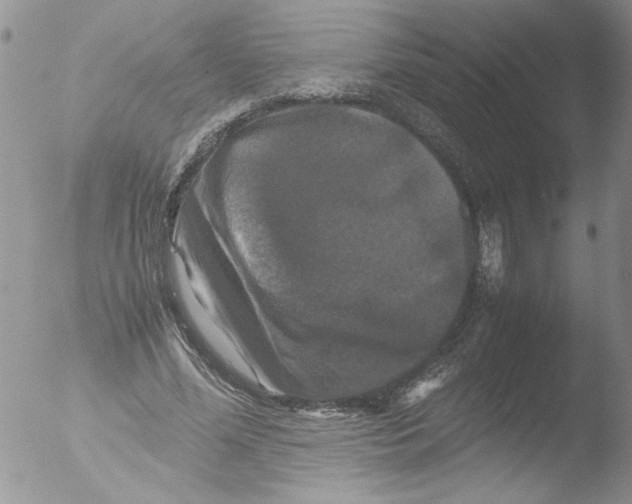 X0000051240588200507152126