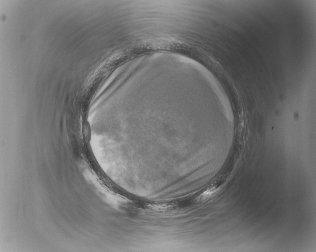 X0000051240589200507152126