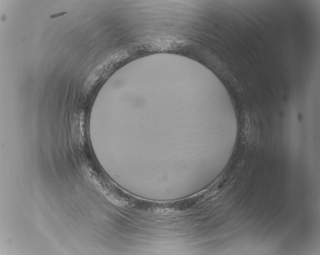 X0000051240590200507152126