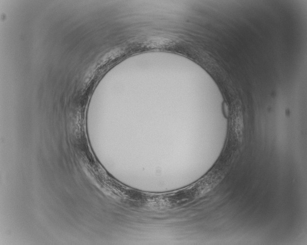 X0000051240591200507152126