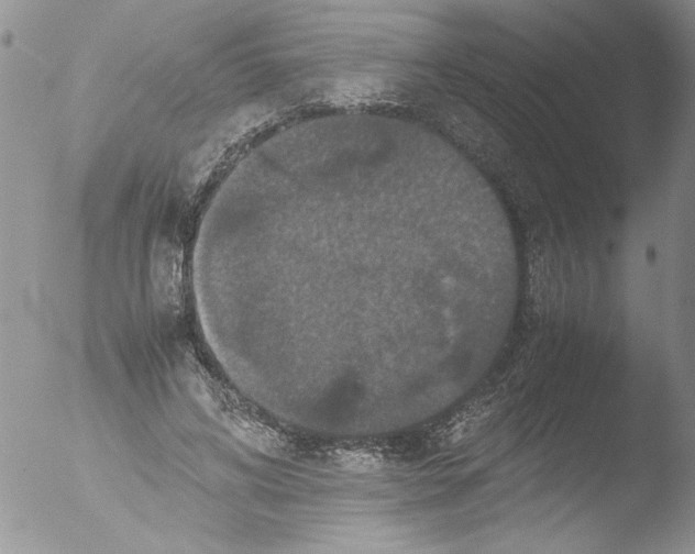 X0000051240592200507152126