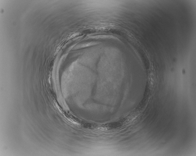 X0000051240593200507152125