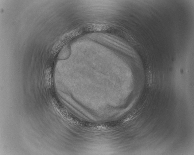 X0000051240594200507152125