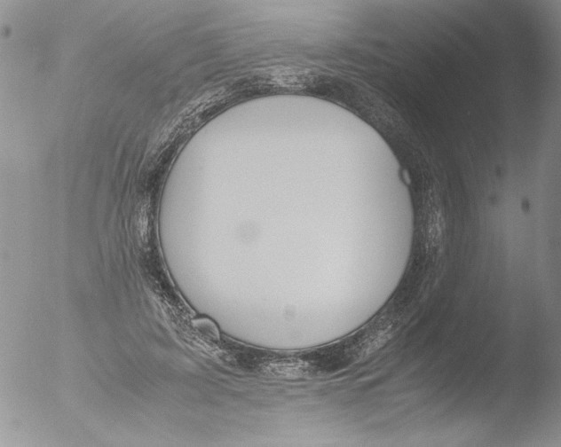 X0000051240595200507152125