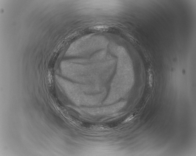 X0000051240597200507152125