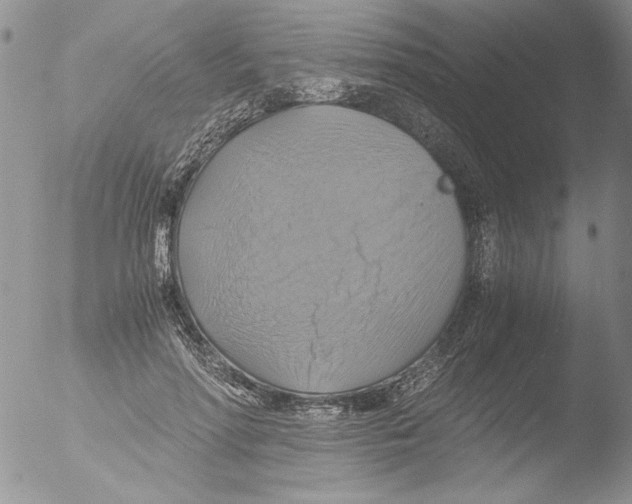 X0000051240598200507152125