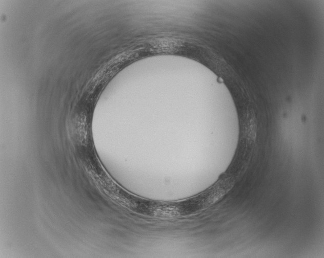 X0000051240599200507152125