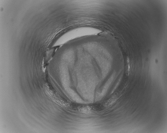 X0000051240600200507152125