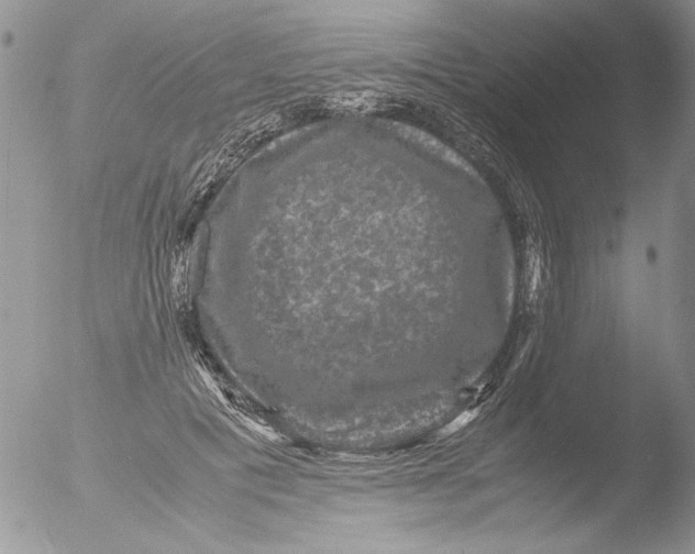 X0000051240601200507152125