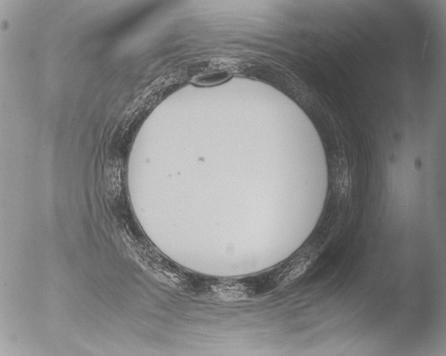 X0000051240603200507152125