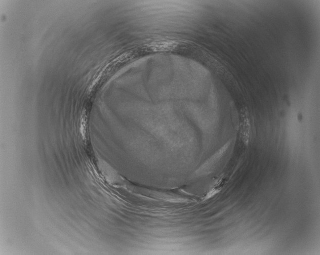 X0000051240604200507152125