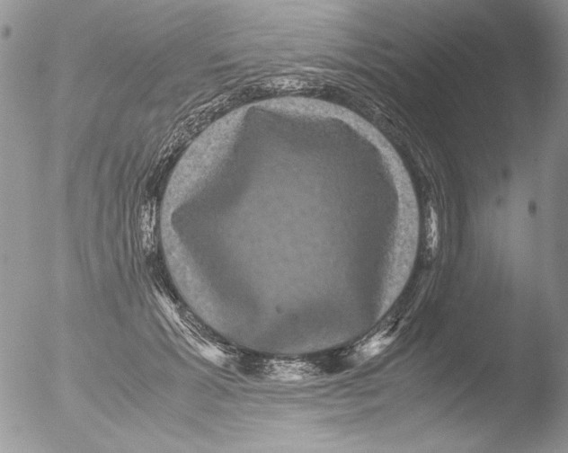 X0000051240605200507152125