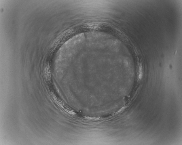 X0000051240609200507152125