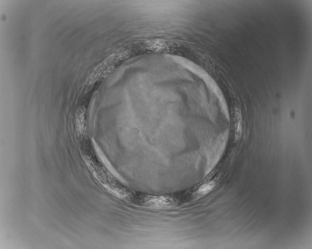 X0000051240611200507152125