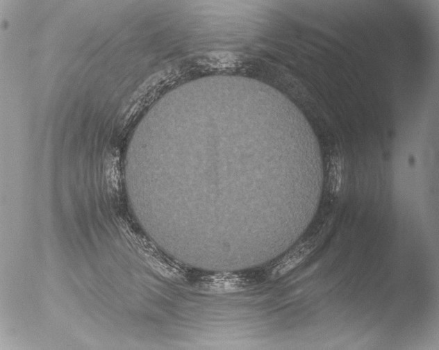 X0000051240612200507152125