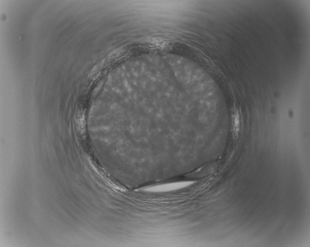 X0000051240613200507152125