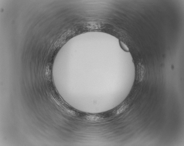 X0000051240614200507152125