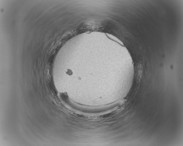 X0000051240615200507152125