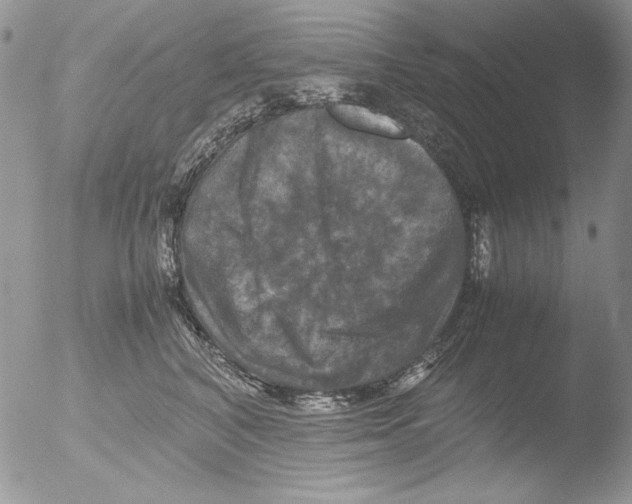 X0000051240616200507152125