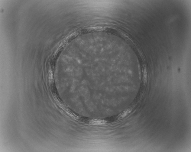 X0000051240617200507152125