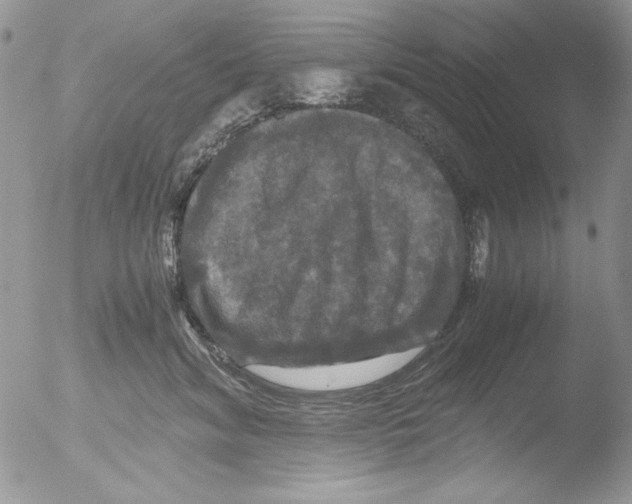 X0000051240620200507152125