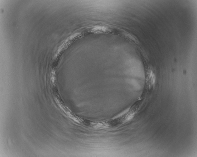 X0000051240621200507152125