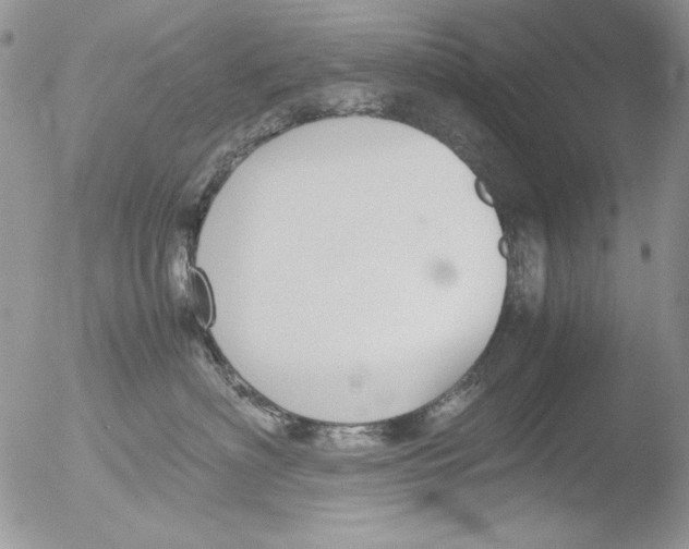 X0000051240622200507152125