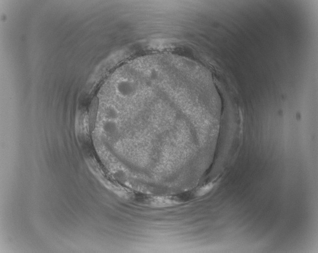 X0000051240623200507152125