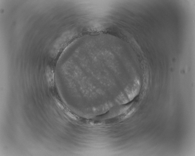 X0000051240624200507152125