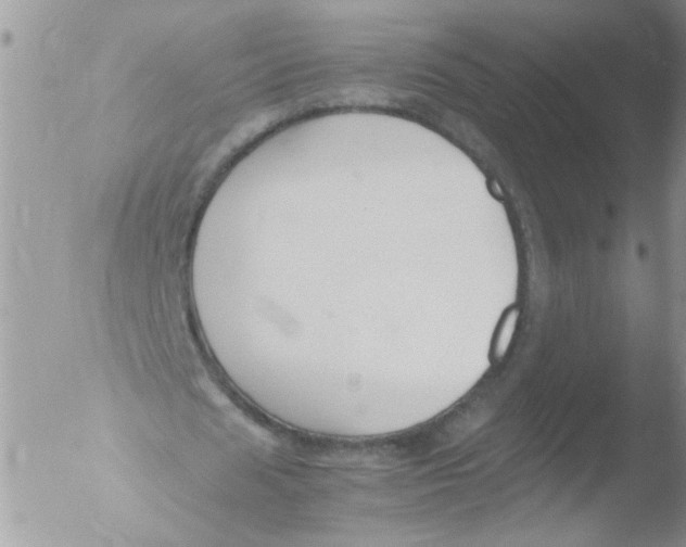 X0000051240625200507152124