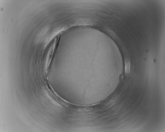 X0000051240627200507152124